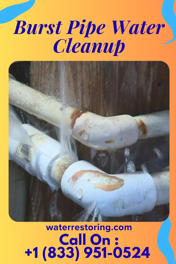 Burst Pipe Water Cleanup in Payne, OH