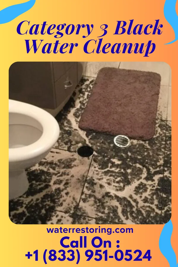 Category 3 Black Water Cleanup in Payne, OH