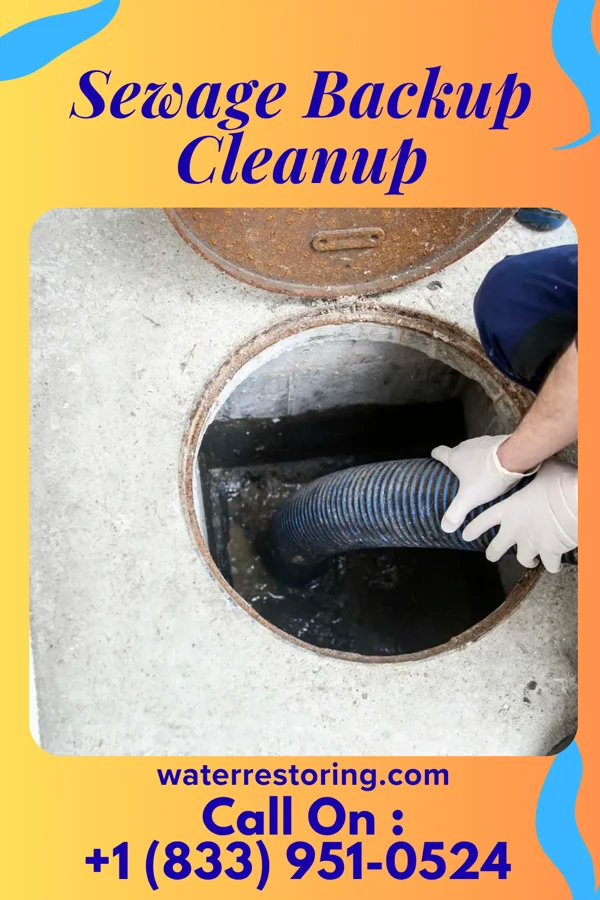 Sewage Backup Cleanup in Payne, OH