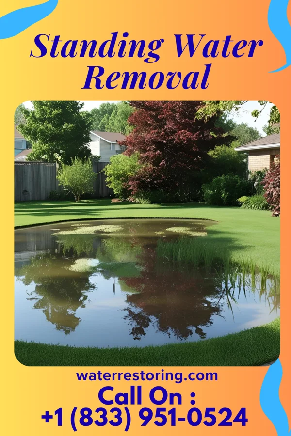 Standing Water Removal in Payne, OH